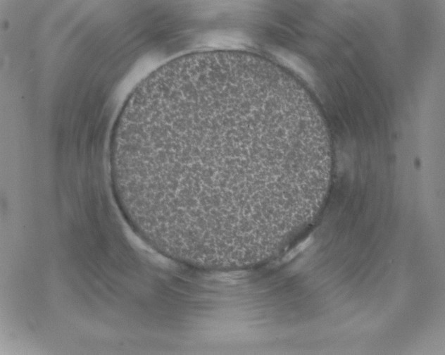 X0000077351471200611171846