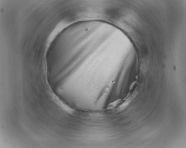 X0000077351472200611171846