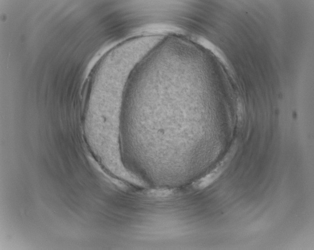 X0000077351473200611171846