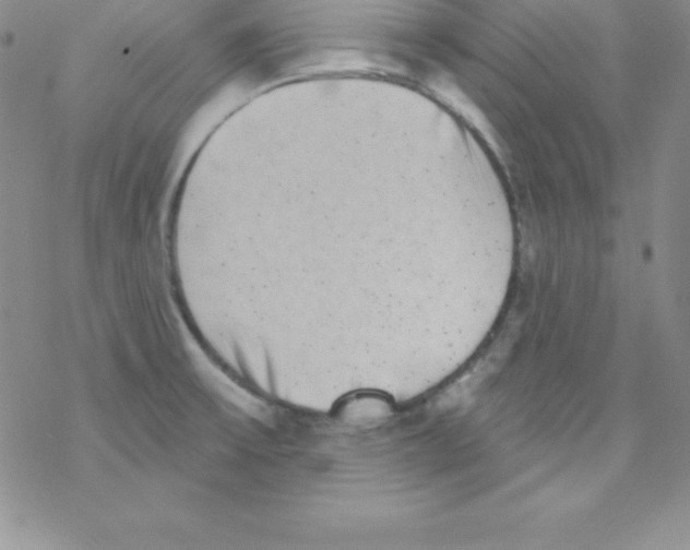 X0000077351475200611171846