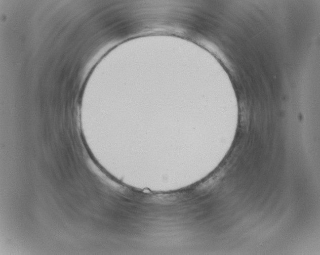 X0000077351476200611171846