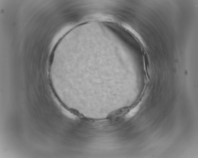 X0000077351477200611171846