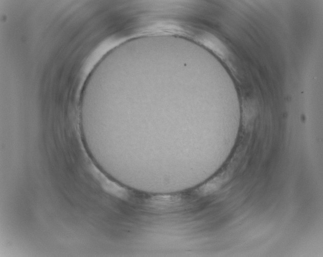 X0000077351478200611171846