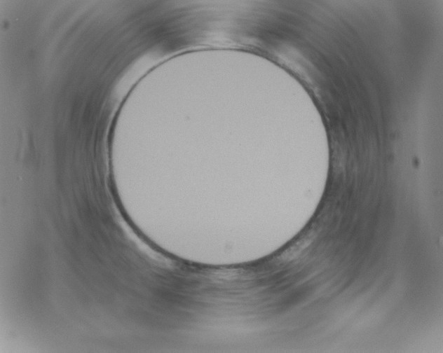 X0000077351479200611171846