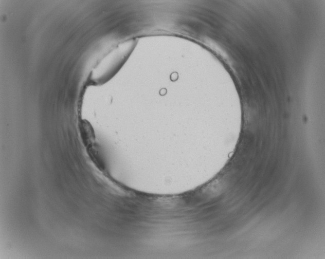 X0000077351480200611171846