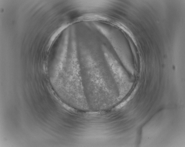 X0000077351481200611171846