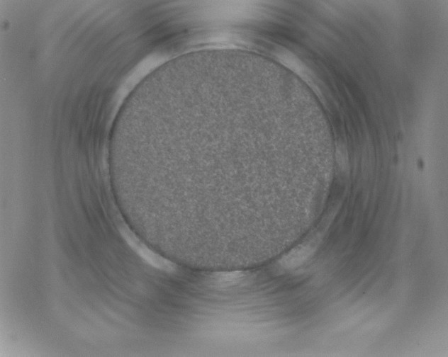 X0000077351482200611171846