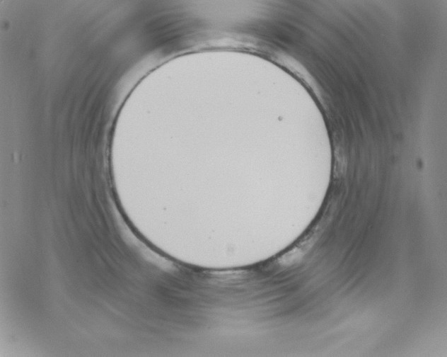 X0000077351483200611171845