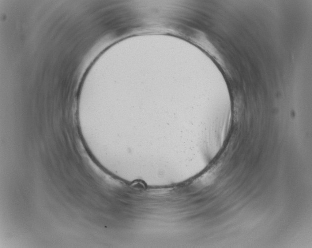 X0000077351484200611171845