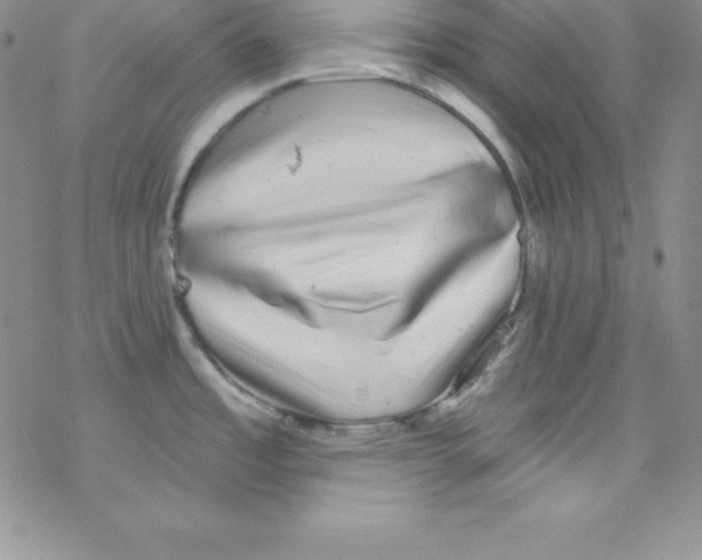 X0000077351485200611171845