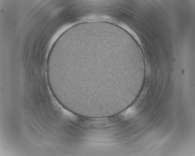 X0000077351486200611171845