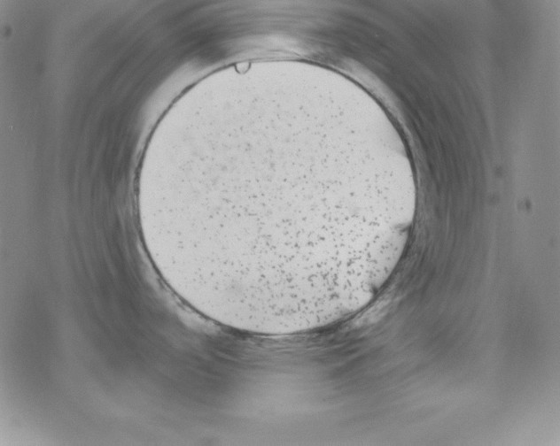 X0000077351488200611171845