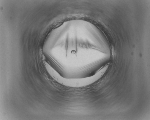 X0000077351492200611171845