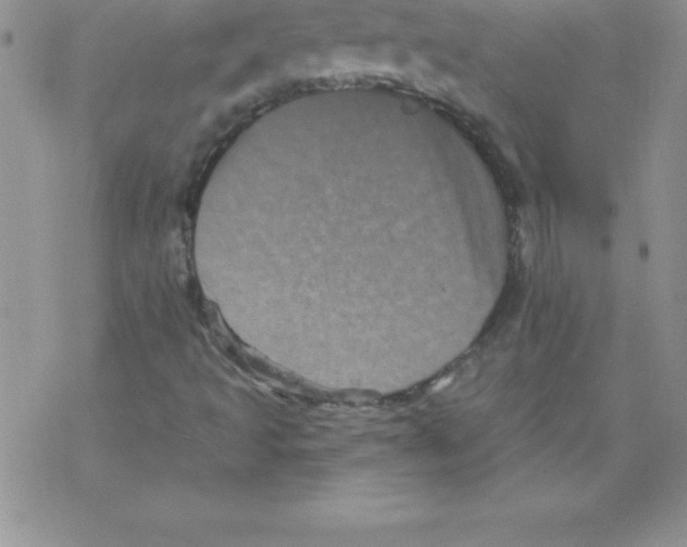 X0000077351493200611171845