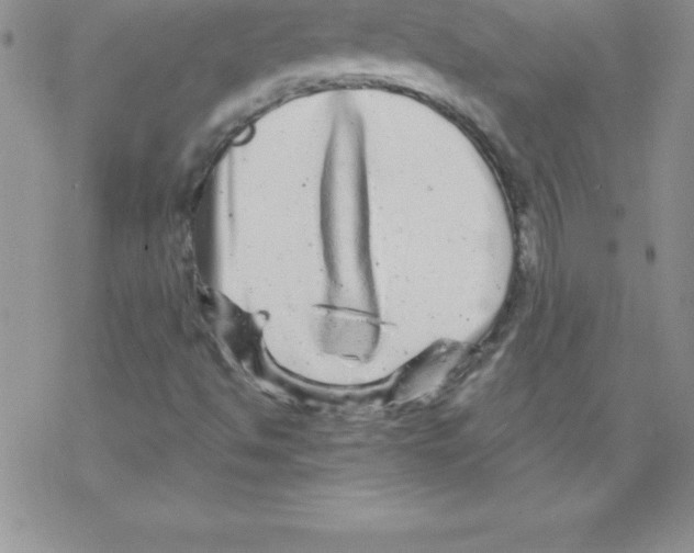 X0000077351494200611171845