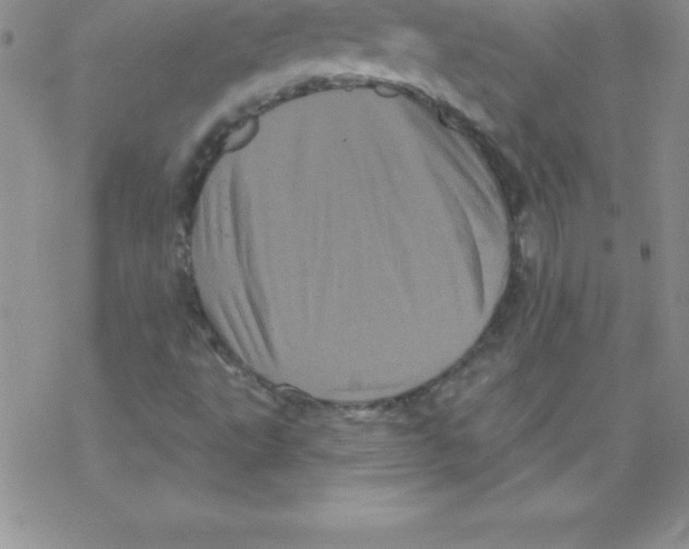 X0000077351495200611171845