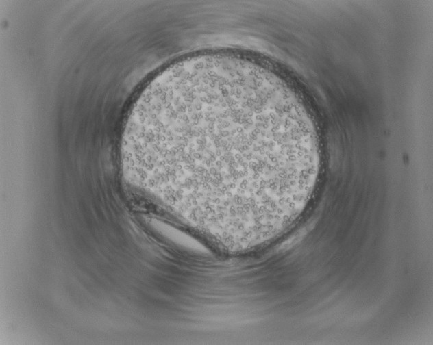 X0000077351497200611171845