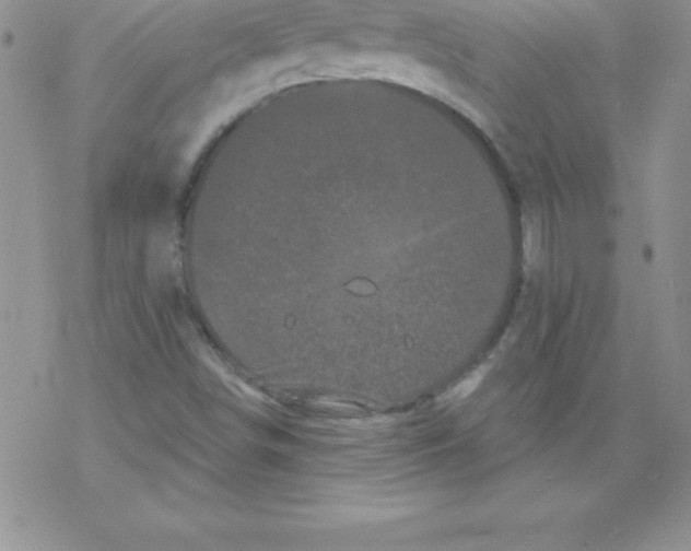 X0000077351498200611171845