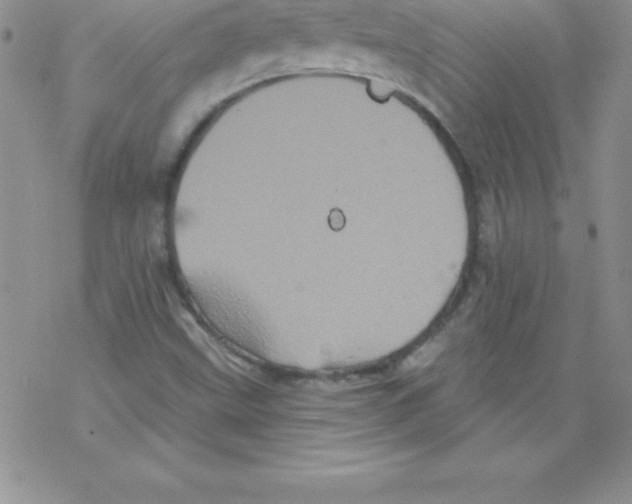 X0000077351499200611171845