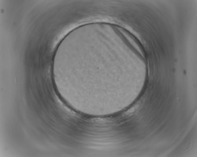 X0000077351500200611171845