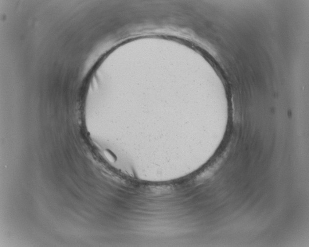 X0000077351501200611171845