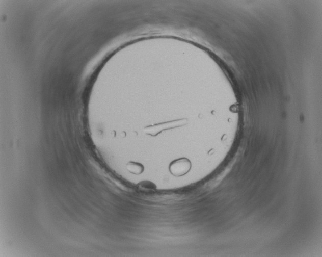 X0000077351502200611171845