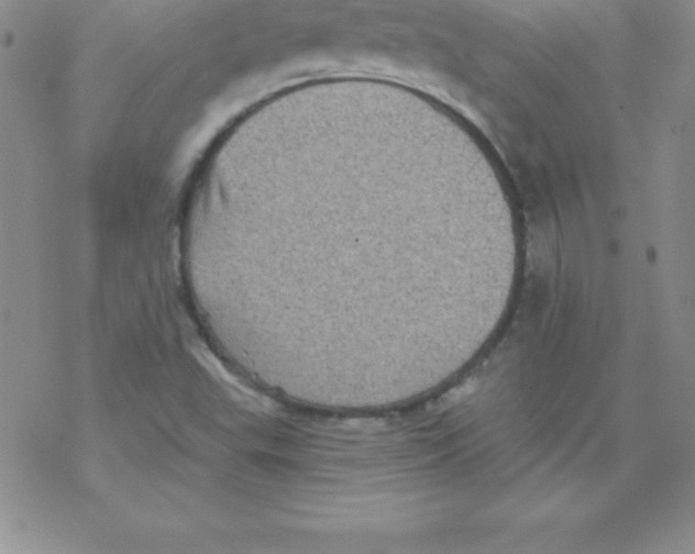 X0000077351503200611171845