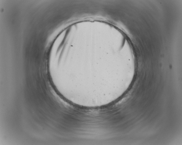 X0000077351504200611171845