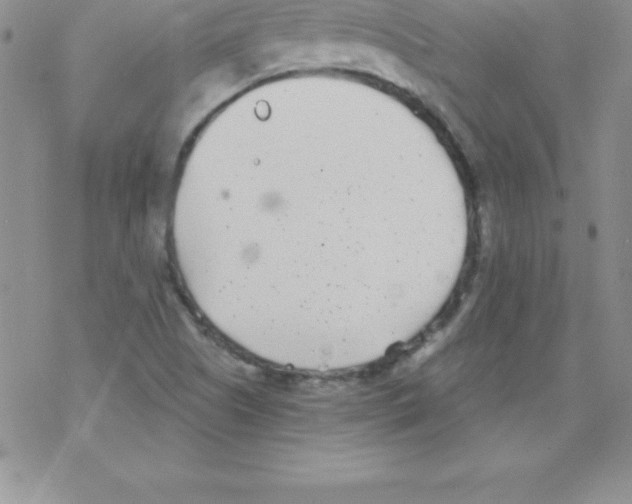 X0000077351505200611171845