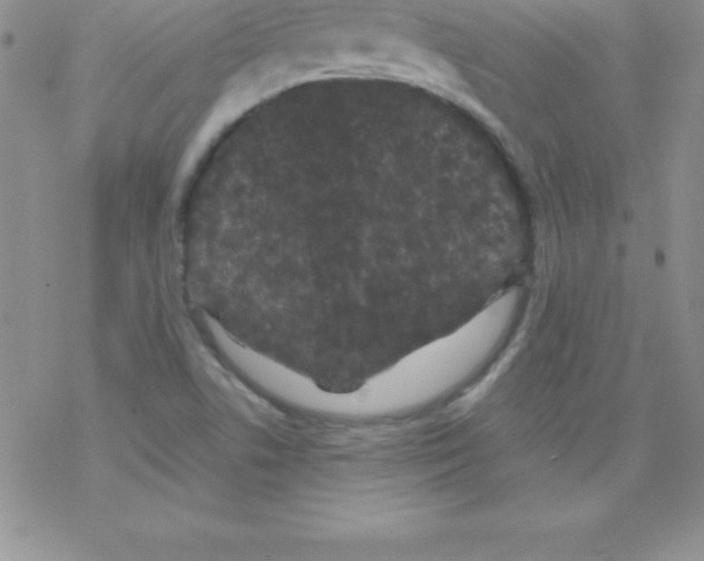 X0000077351506200611171845