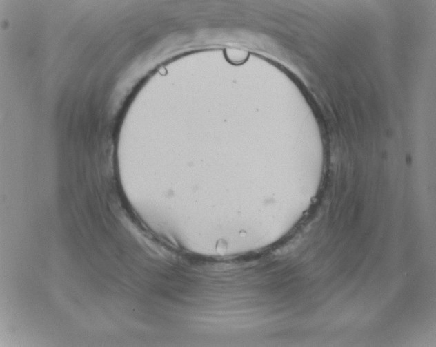 X0000077351507200611171845