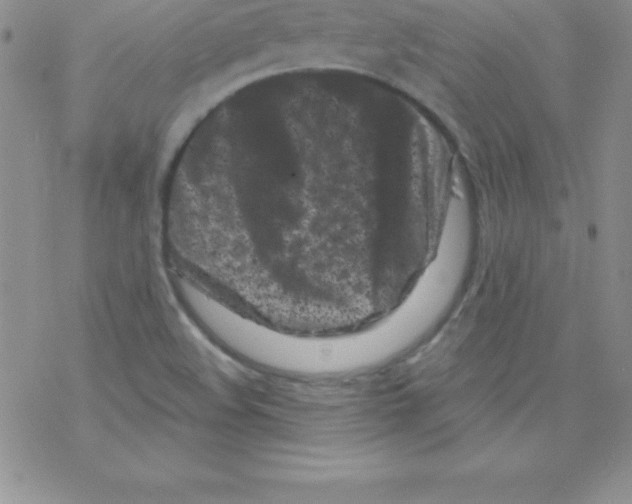 X0000077351508200611171845