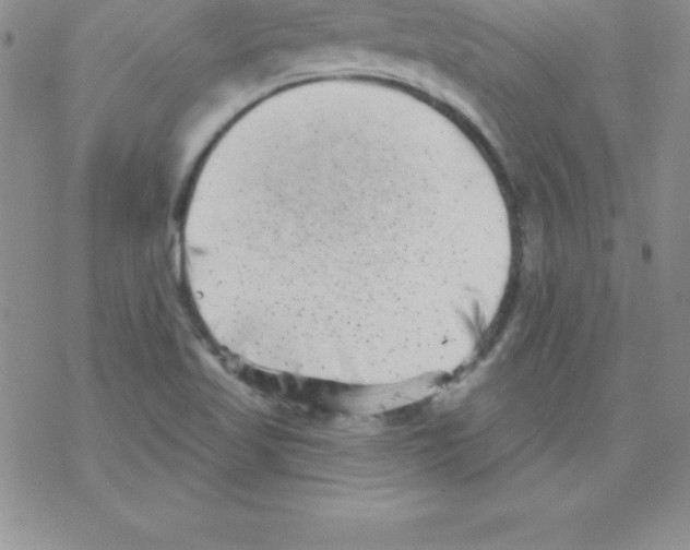 X0000077351509200611171845