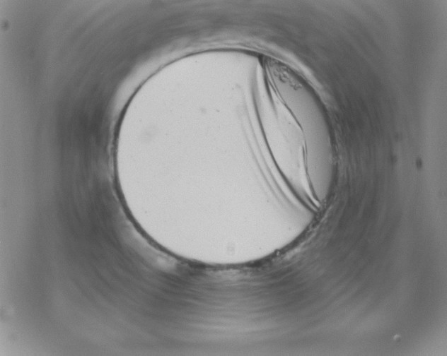 X0000077351512200611171845