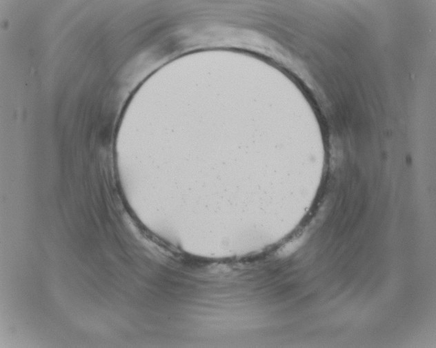 X0000077351513200611171845