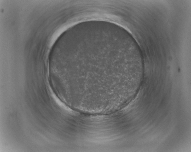 X0000077351515200611171845