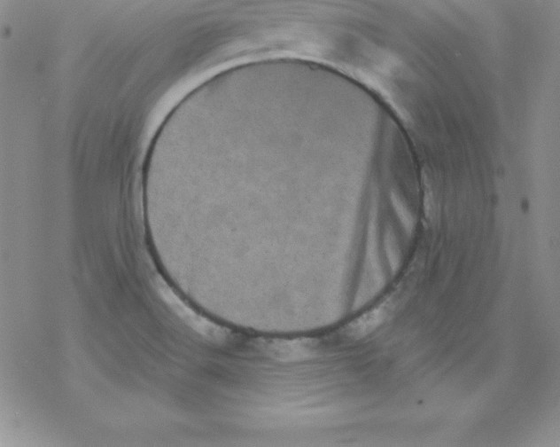 X0000077351516200611171845