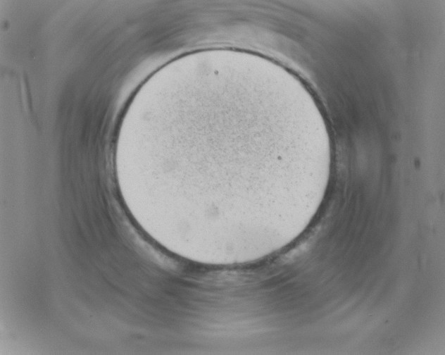 X0000077351517200611171845