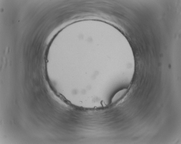 X0000077351518200611171845