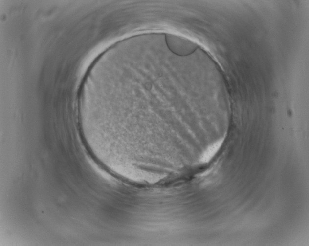 X0000077351519200611171845