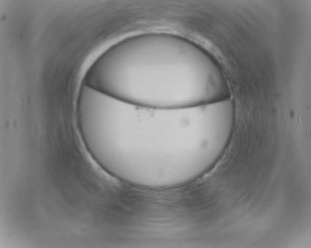 X0000077351520200611171845