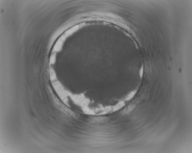 X0000077351522200611171845