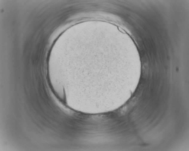 X0000077351523200611171845