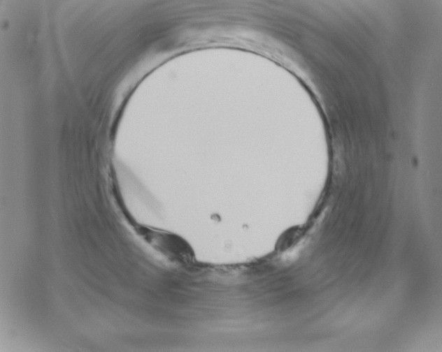 X0000077351525200611171845