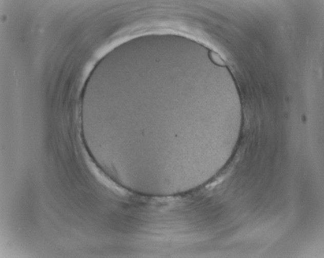 X0000077351526200611171845