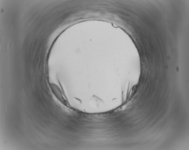 X0000077351527200611171845