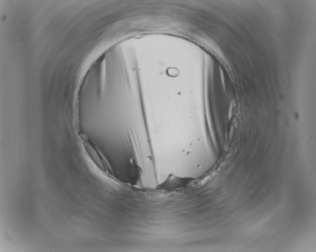 X0000077351528200611171845