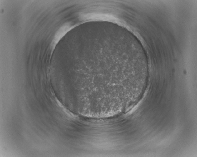 X0000077351529200611171845