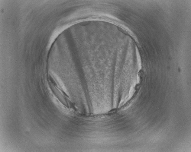 X0000077351530200611171845