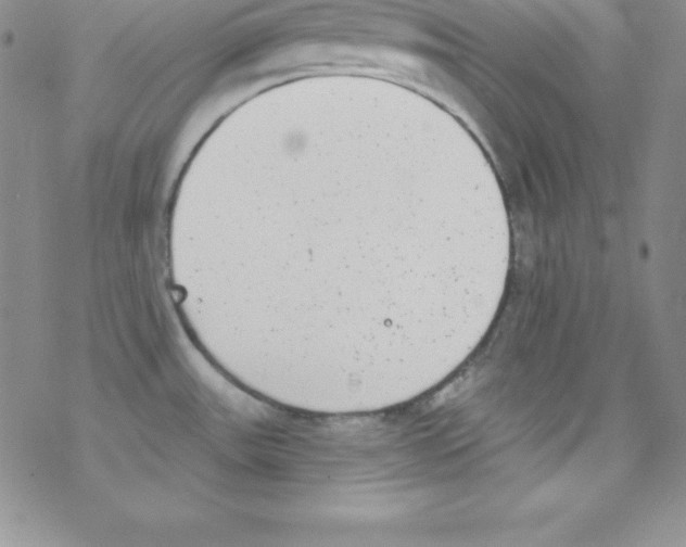 X0000077351531200611171845